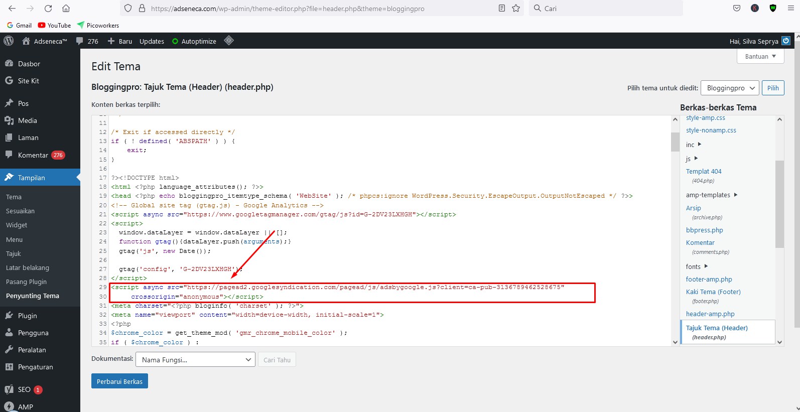Menempelkan kode adsense di wordpress